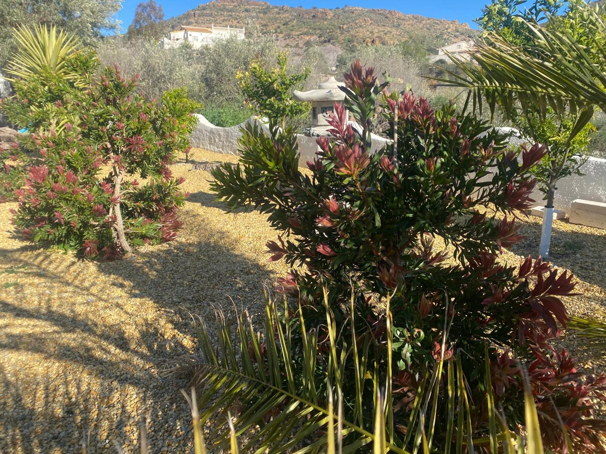 Cortijo Los Corazones Cantoria Buitenkant foto